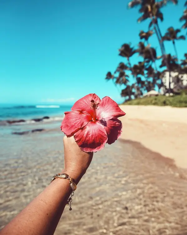 Flower in hand